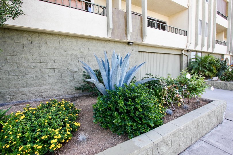 Redondo Plaza Condominiums Condos, Lofts & Townhomes For ...