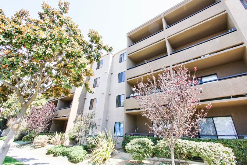 Sea Gate Village Condos, Lofts & Townhomes For Sale Sea Gate Village Real Estate Sea Gate