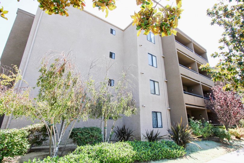 Sea Gate Village Condos, Lofts & Townhomes For Sale Sea Gate Village Real Estate Sea Gate