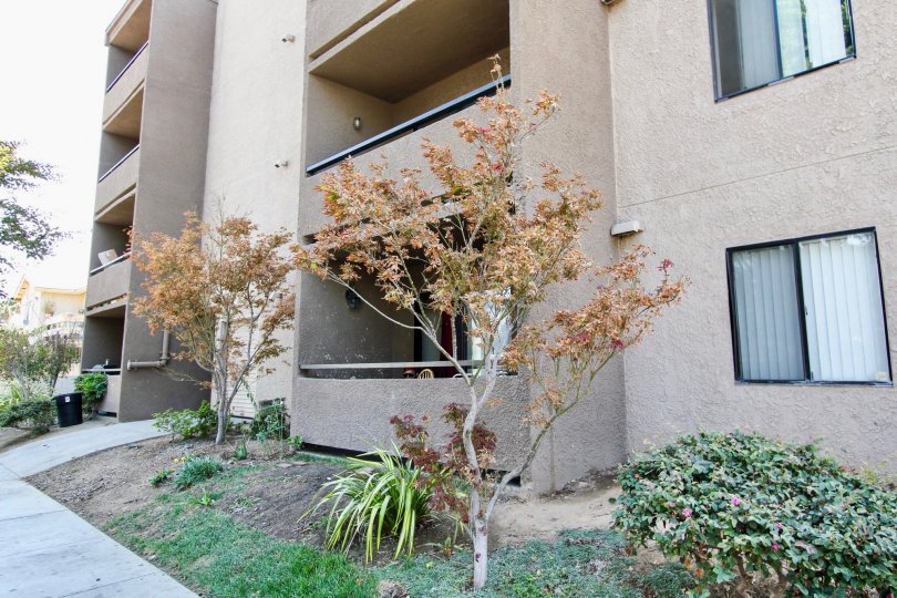 Sea Gate Village Condos, Lofts & Townhomes For Sale Sea Gate Village Real Estate Sea Gate