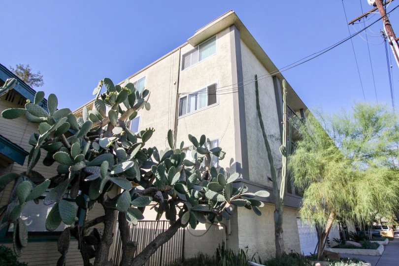 Third Street East Condos, Lofts & Townhomes For Sale Third Street