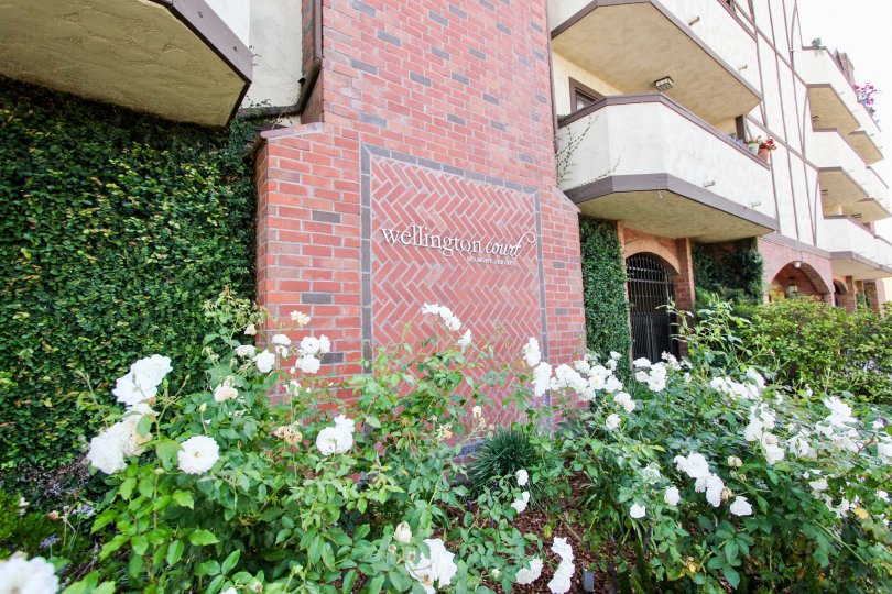 Wellington Court Condos Lofts Townhomes For Sale Wellington Court