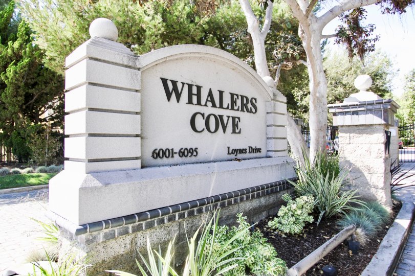Whalers Cove Condos, Lofts & Townhomes For Sale Whalers Cove Real