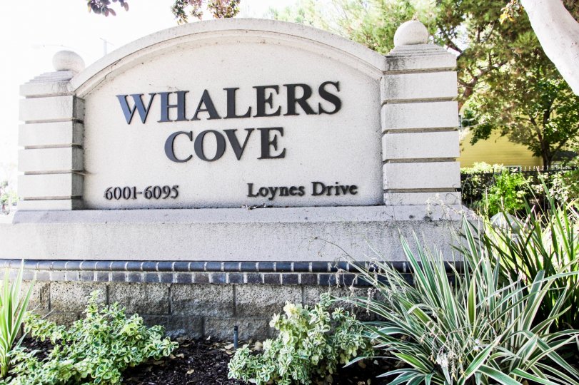 Whalers Cove Condos, Lofts & Townhomes For Sale Whalers Cove Real Estate Whalers Cove, Long