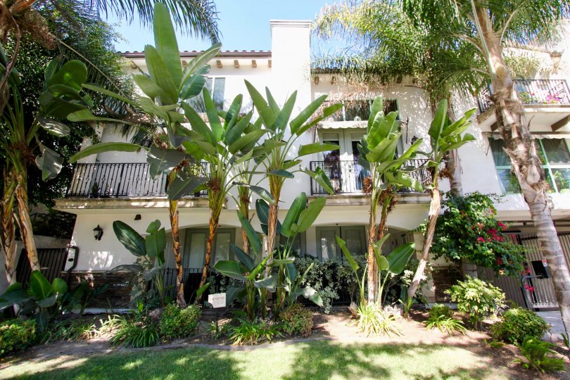 4301 Los Feliz Blvd Condos, Lofts & Townhomes For Sale 4301 Los Feliz