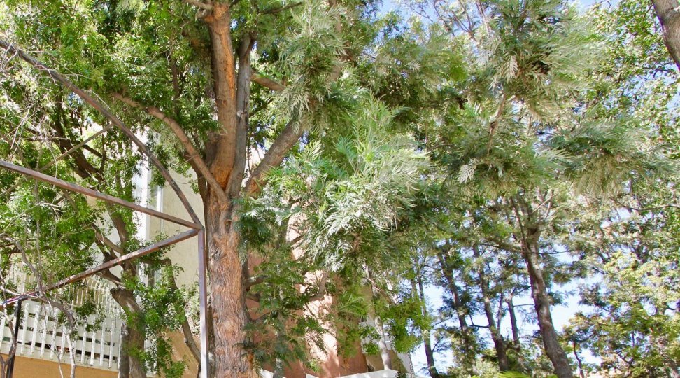 Griffith Park Garden Estates Condos, Lofts & Townhomes For Sale