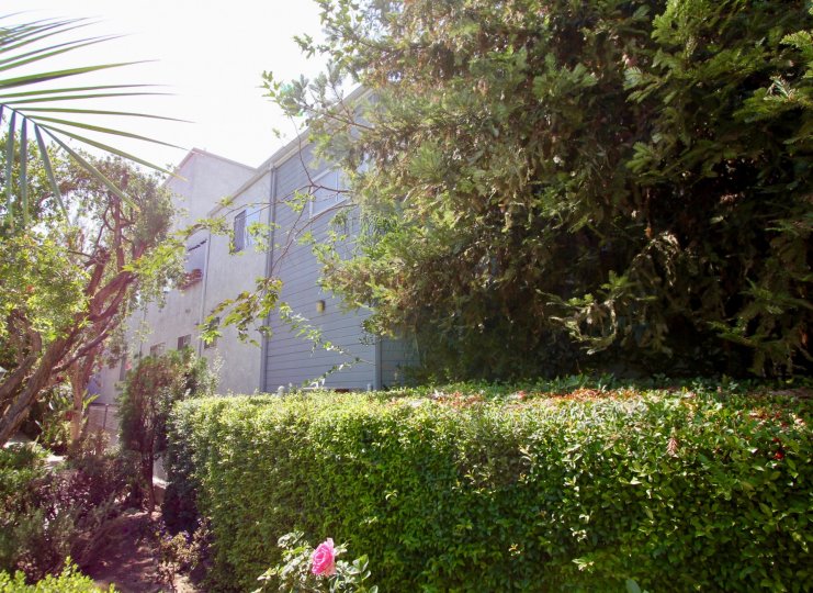 Los Feliz Villas Condos, Lofts & Townhomes For Sale Los Feliz Villas