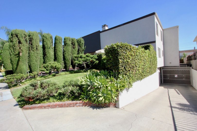 Rodney Drive Condos, Lofts & Townhomes For Sale Rodney Drive Real