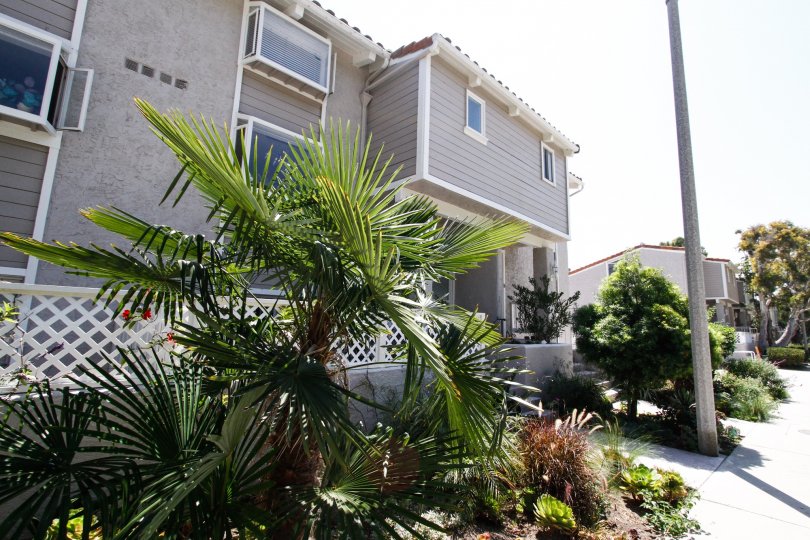 Malibu Villas Condos, Lofts & Townhomes For Sale Malibu Villas Real