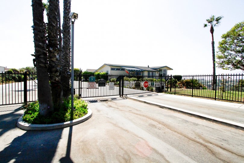 Point Dume Club Condos, Lofts & Townhomes For Sale Point Dume Club