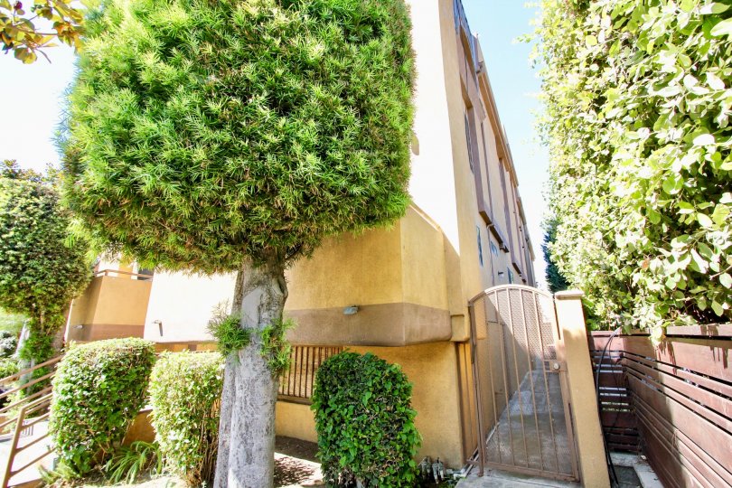 11417 Culver Blvd Condos, Lofts & Townhomes For Sale 11417 Culver