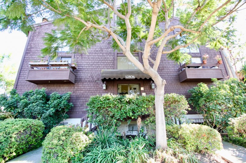 12806 Pacific Ave Condos, Lofts & Townhomes For Sale 12806 Pacific