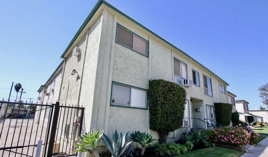 Blueberry Isles Condos, Lofts & Townhomes For Sale Blueberry Isles