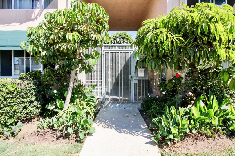 Brandywine Courts Condos, Lofts & Townhomes For Sale Brandywine