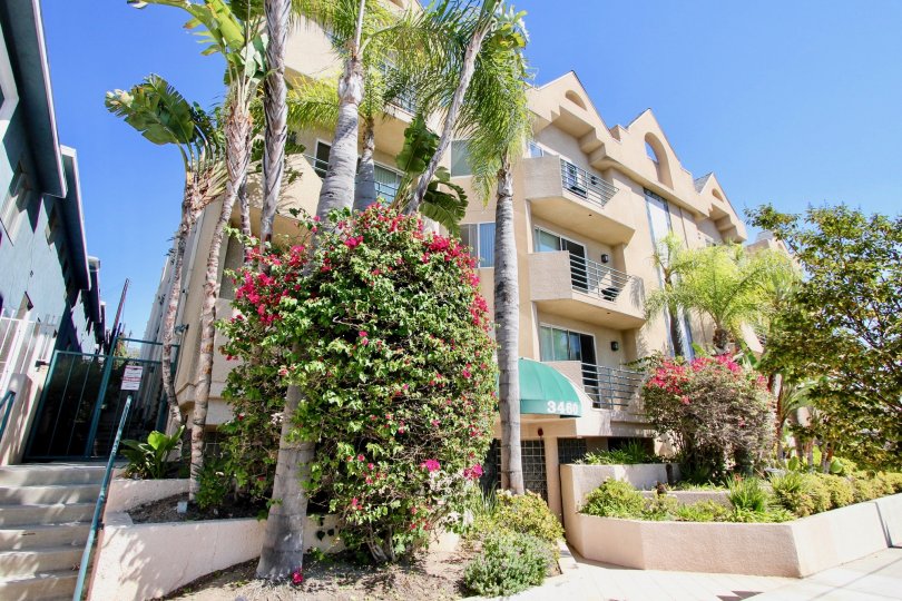 Centinela Ocean View Condos Condos, Lofts & Townhomes For Sale