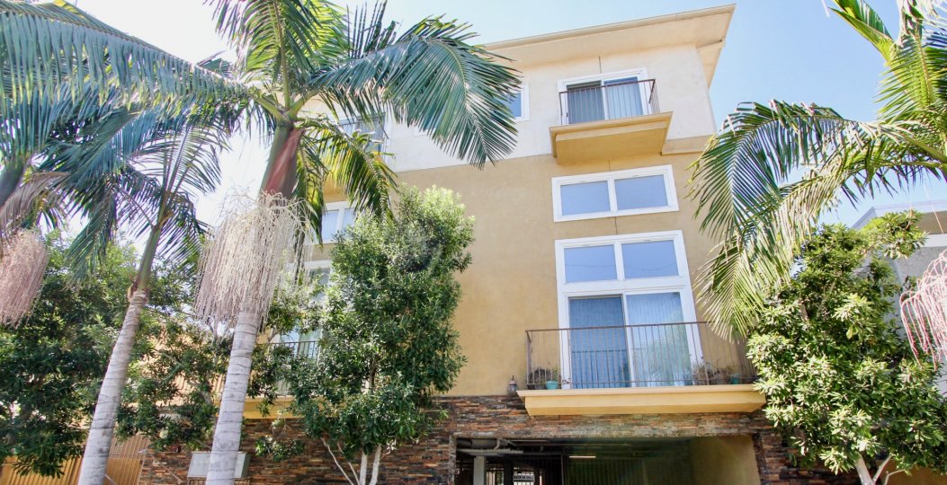 McLaughlin Townhomes Condos, Lofts & Townhomes For Sale McLaughlin Townhomes Real Estate