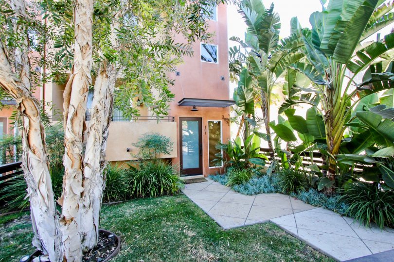 Moore Street Townhomes Condos, Lofts & Townhomes For Sale Moore Street Townhomes Real Estate