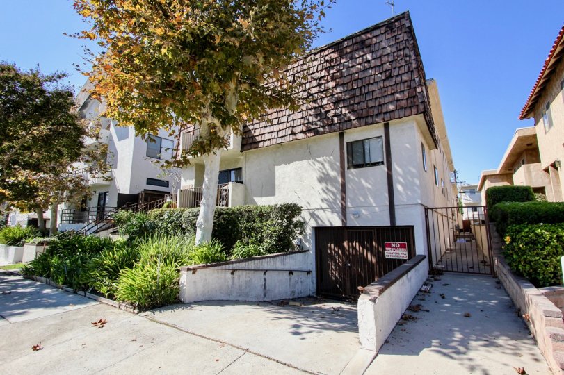 Pacific Ave Townhomes Condos, Lofts & Townhomes For Sale Pacific Ave