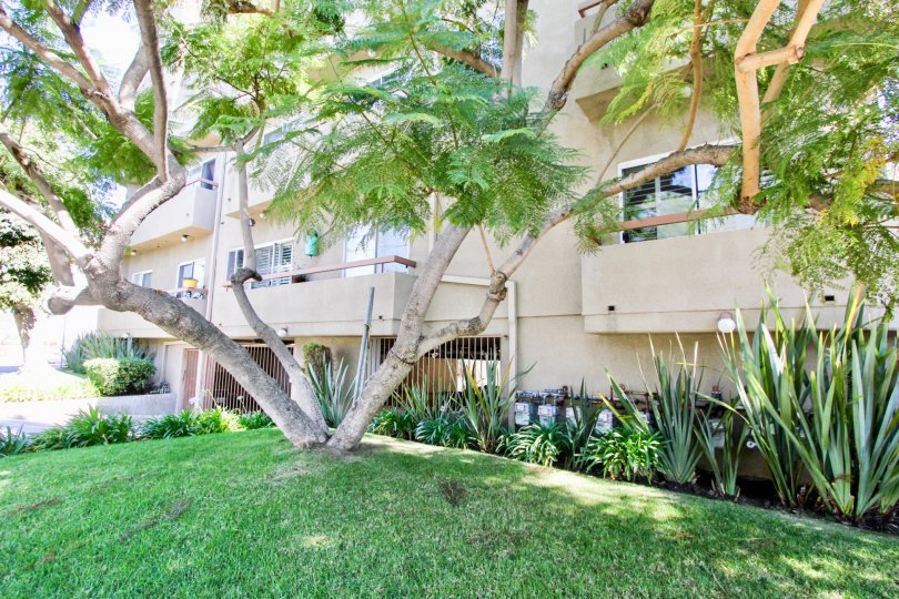 Westminster Villas Condos, Lofts & Townhomes For Sale Westminster