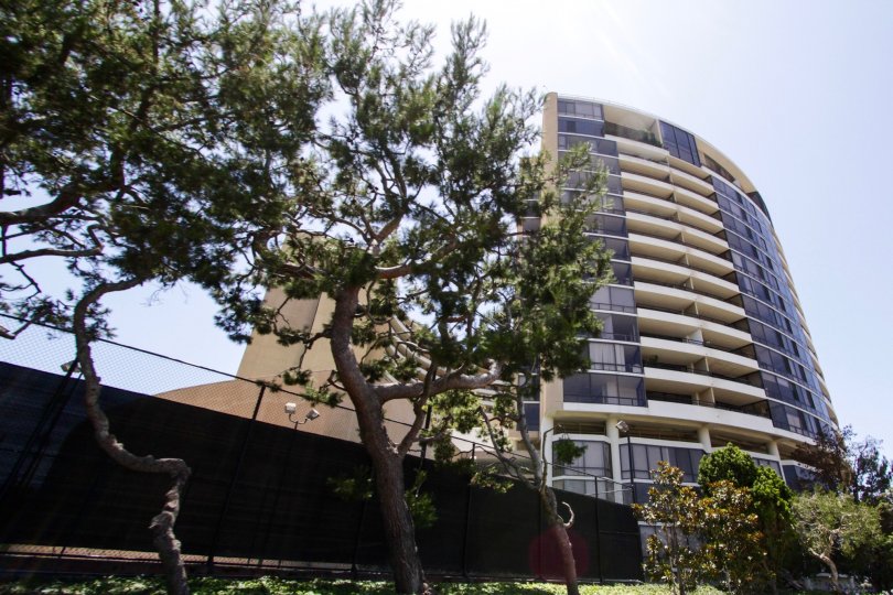 Marina City Club Condos Lofts Townhomes For Sale Marina City Club