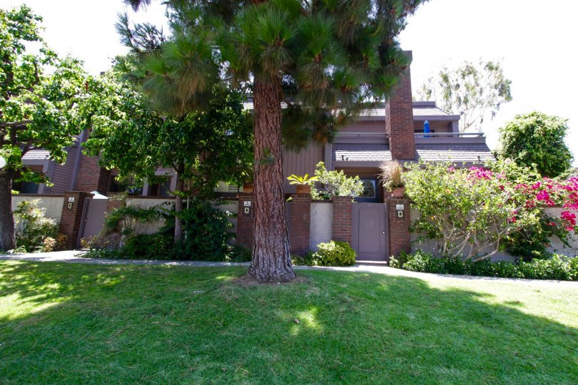 Villa Alicante Condos, Lofts & Townhomes For Sale Villa Alicante Real