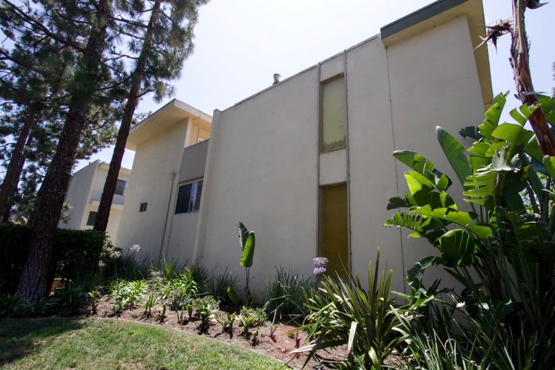 Villa Sestri Condos, Lofts & Townhomes For Sale | Villa Sestri Real ...