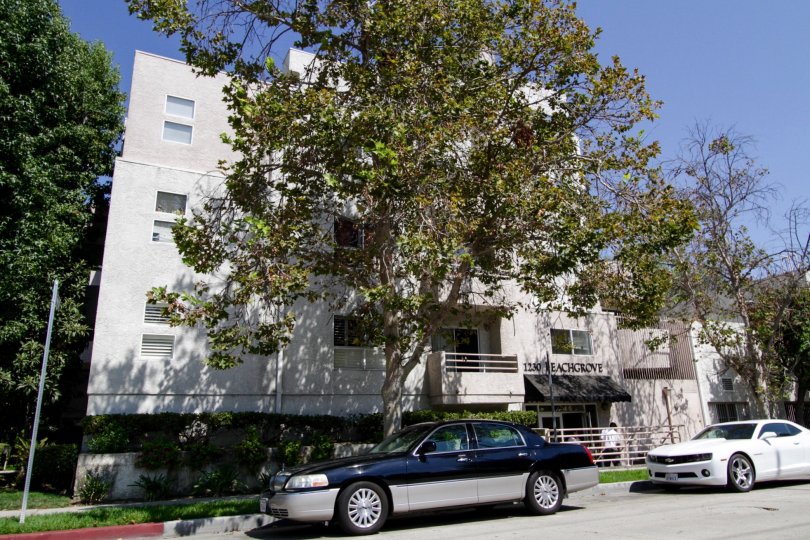 11230 Peach Grove St Condos, Lofts & Townhomes For Sale 11230 Peach