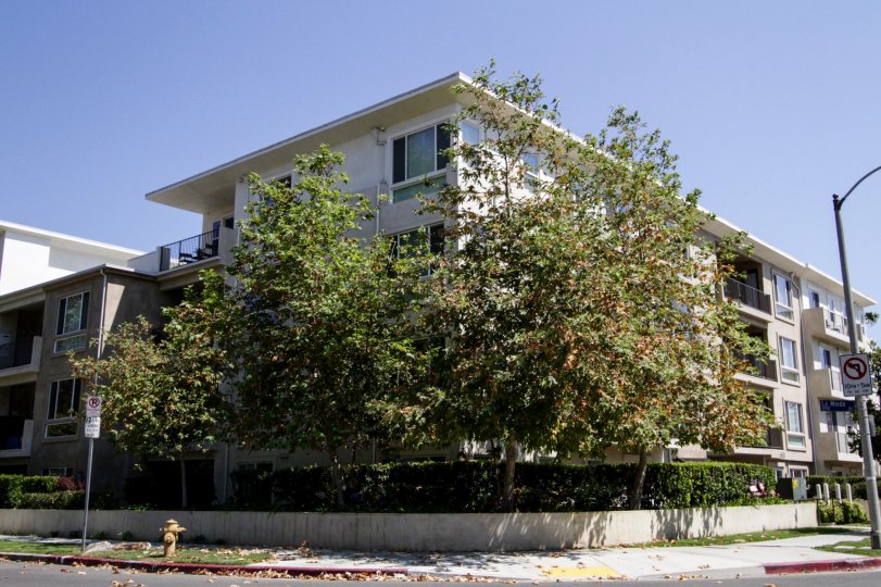 4820 Bellflower Ave Condos, Lofts & Townhomes For Sale 4820