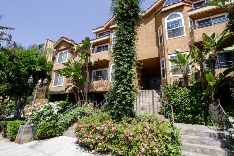 5102 Tujunga Ave Condos, Lofts & Townhomes For Sale 5102 Tujunga Ave