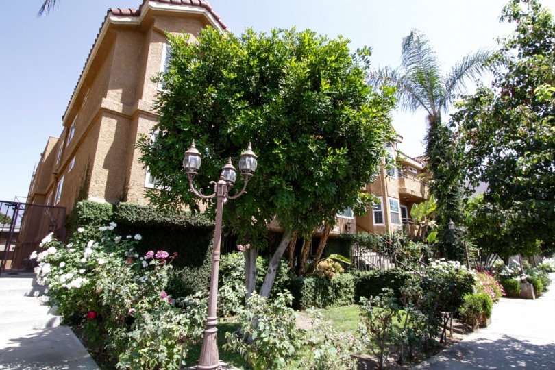 5102 Tujunga Ave Condos, Lofts & Townhomes For Sale 5102 Tujunga Ave
