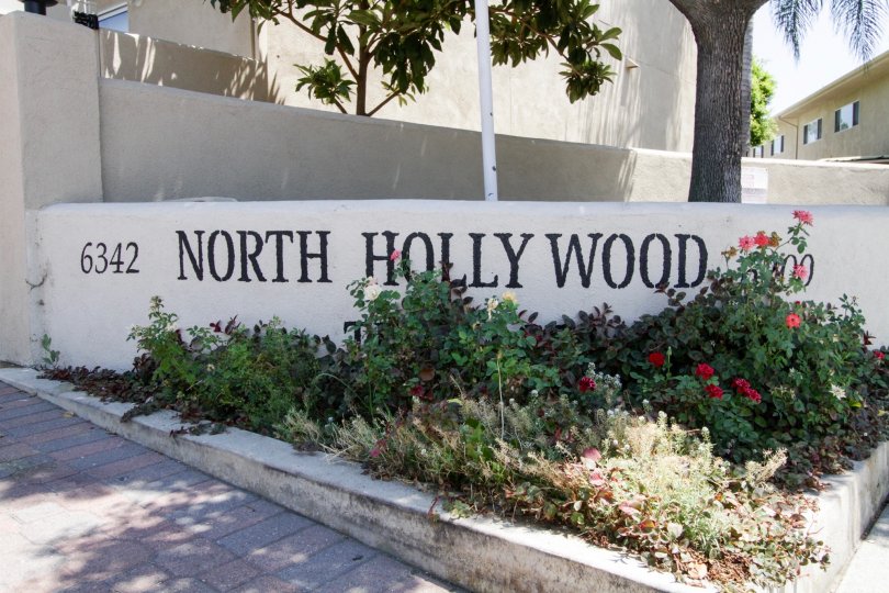 North Hollywood Terrace Condos, Lofts & Townhomes For Sale North