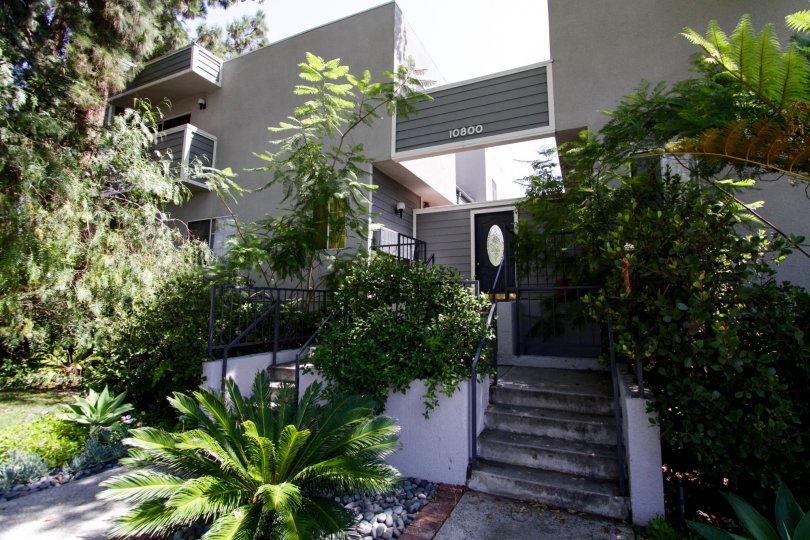 Peach Grove Condos, Lofts & Townhomes For Sale Peach Grove Real