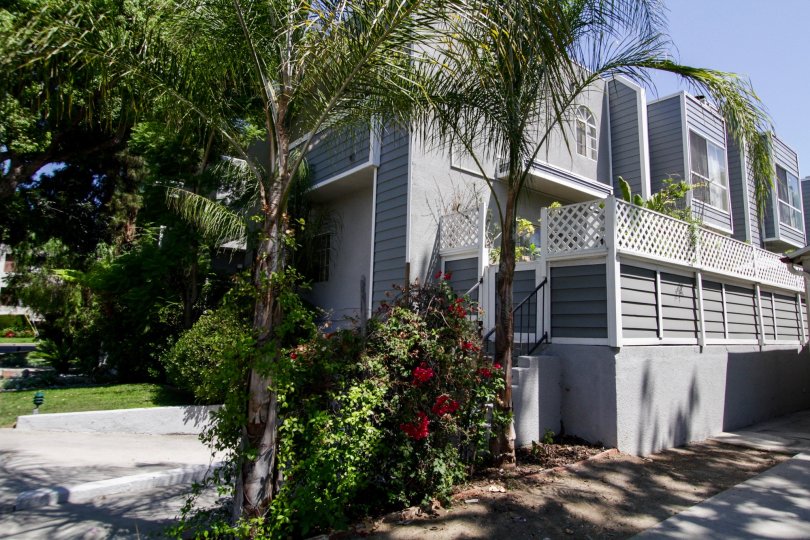 Peach Grove Condos, Lofts & Townhomes For Sale Peach Grove Real