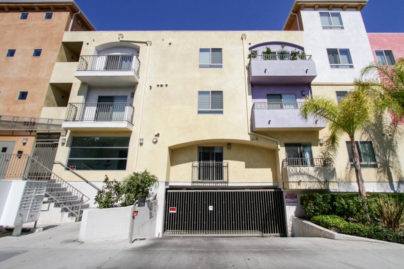 Satsuma Artist Condominiums Condos, Lofts & Townhomes For Sale