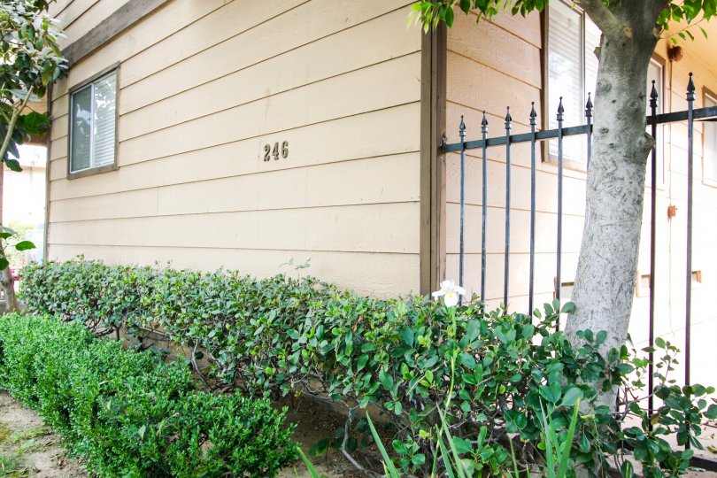 Alpine Village Condos, Lofts & Townhomes For Sale Alpine Village Real