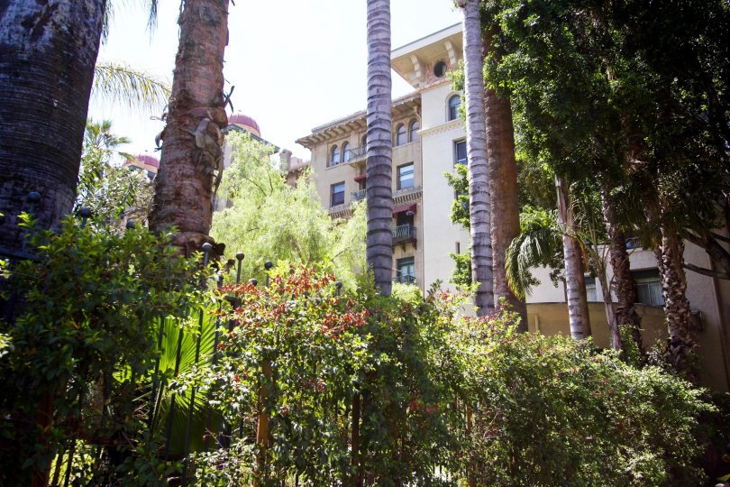 Castle Green Condos, Lofts & Townhomes For Sale Castle Green Real