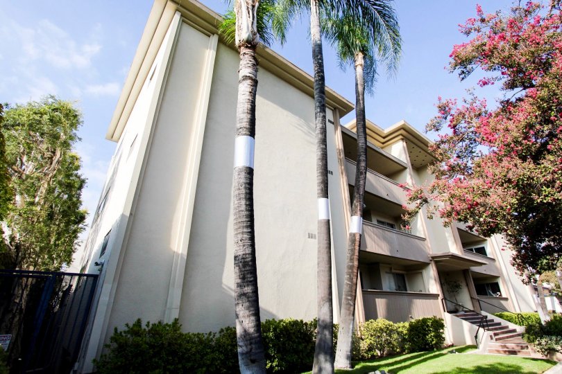 Cordova Arms Condos, Lofts & Townhomes For Sale Cordova Arms Real Estate Cordova Arms