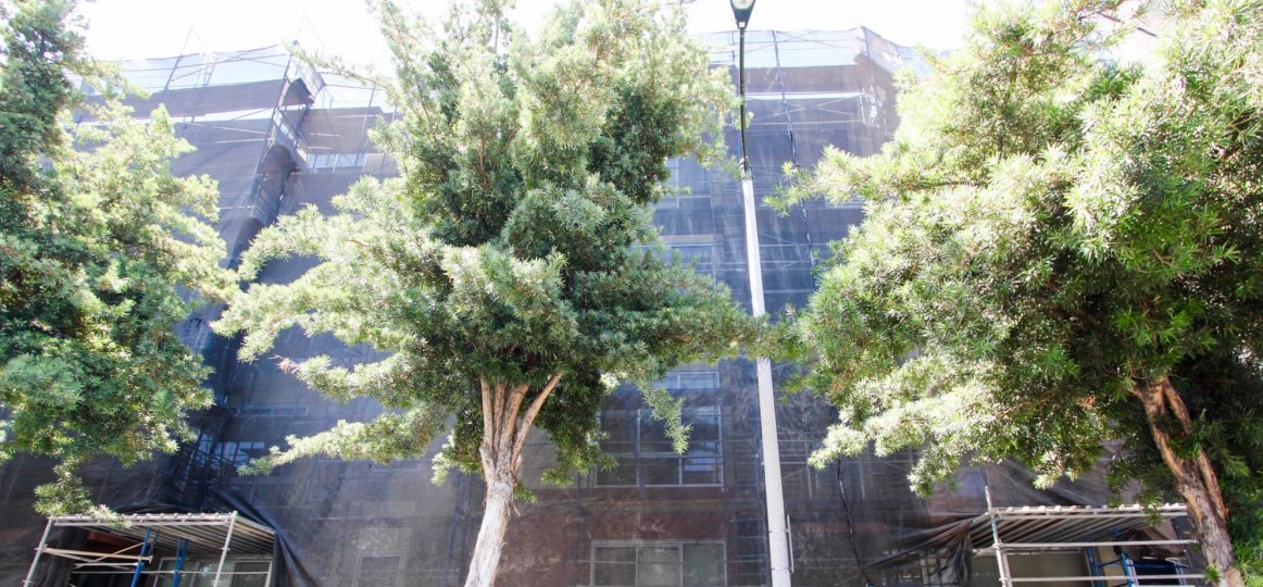 De Lacey at Green Condos, Lofts & Townhomes For Sale De Lacey at