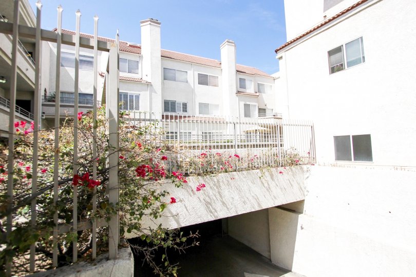 Del Mar Terrace Condos, Lofts & Townhomes For Sale Del Mar Terrace