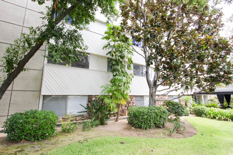 Los Robles Condominiums Condos, Lofts & Townhomes For Sale Los Robles