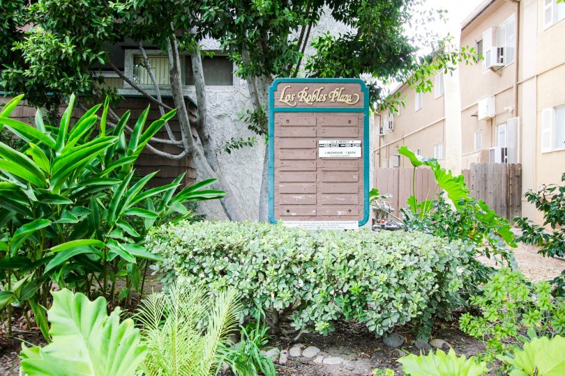 Los Robles Plaza Condos, Lofts & Townhomes For Sale Los Robles Plaza