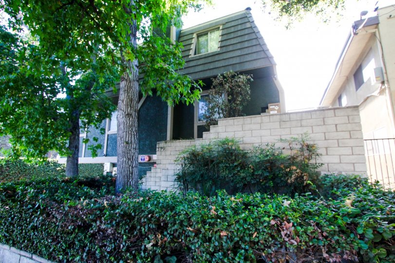 Maplewood Condos, Lofts & Townhomes For Sale Maplewood Real Estate