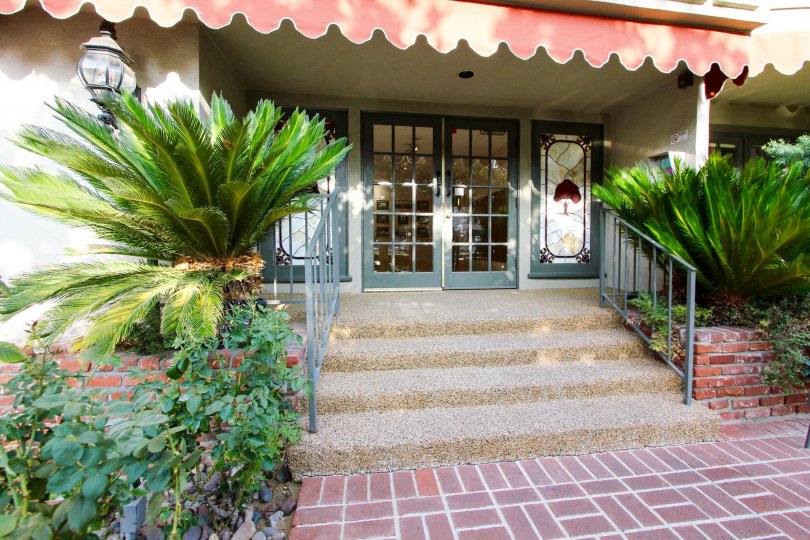 Olive Tree Condos, Lofts & Townhomes For Sale Olive Tree Real Estate