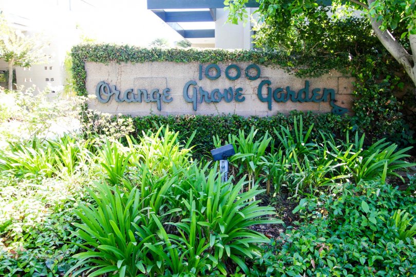 Orange Grove Gardens Condos, Lofts & Townhomes For Sale Orange Grove