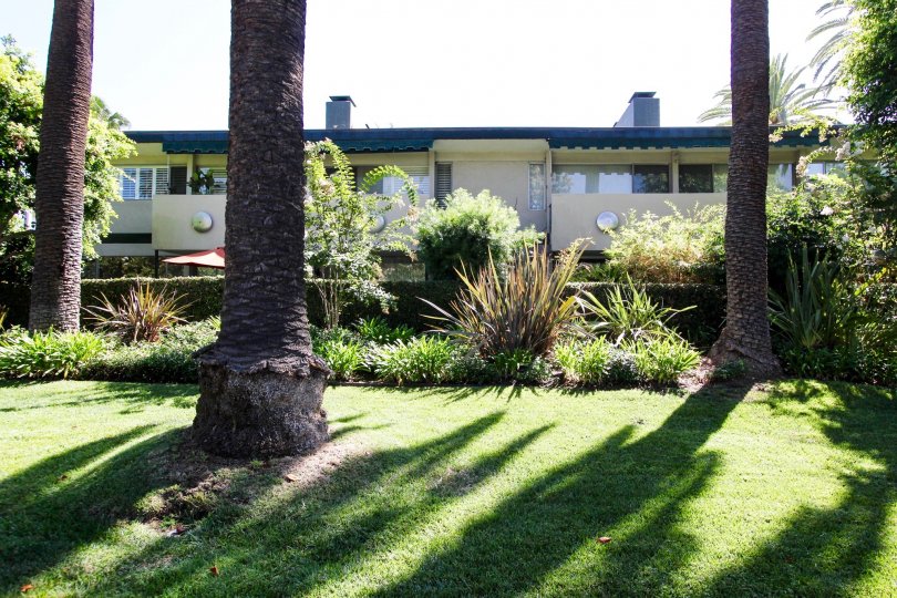 Orange Grove Gardens Condos, Lofts & Townhomes For Sale Orange Grove