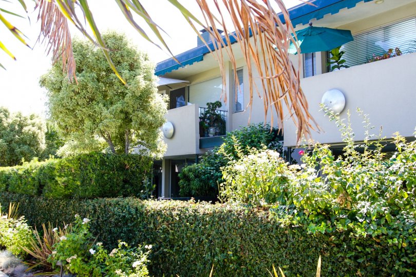 Orange Grove Gardens Condos, Lofts & Townhomes For Sale | Orange Grove