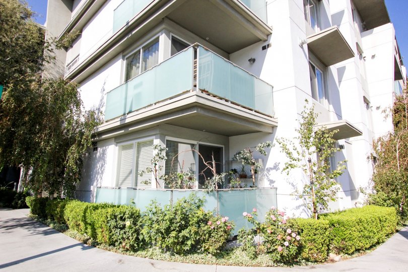 Pasadena Collection West Condos, Lofts & Townhomes For Sale Pasadena