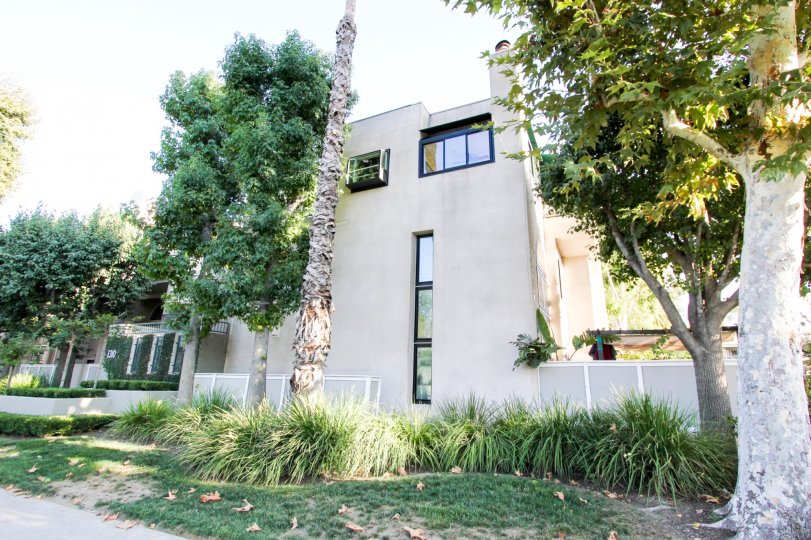 The Groves of Pasadena Condos, Lofts & Townhomes For Sale The Groves