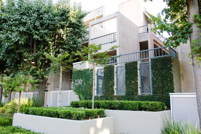 The Groves of Pasadena Condos, Lofts & Townhomes For Sale The Groves
