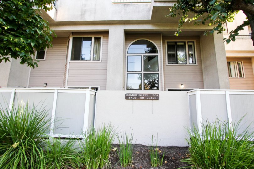 The Groves of Pasadena Condos, Lofts & Townhomes For Sale The Groves